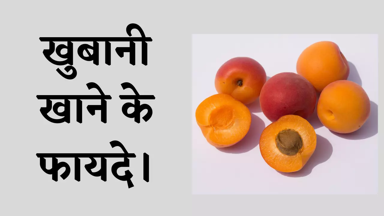 khubani khane ke fayde aur poshak tatva in hindi