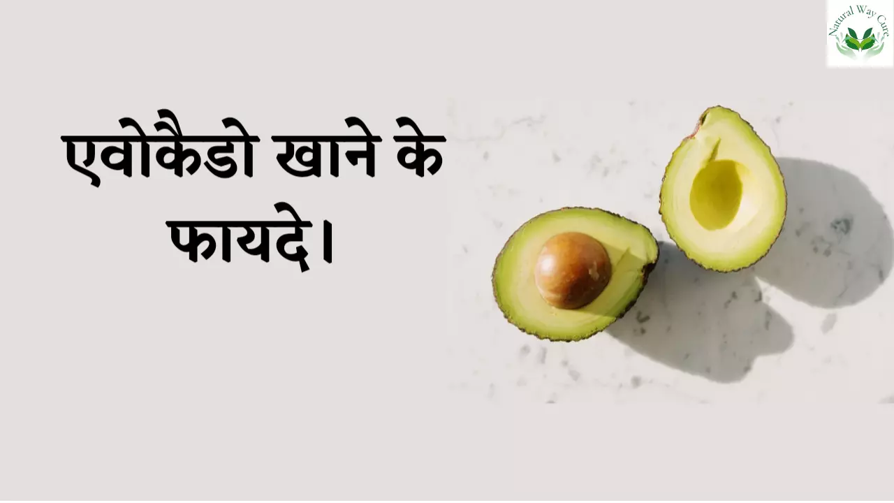 Avocado khane ke fayde in hindi