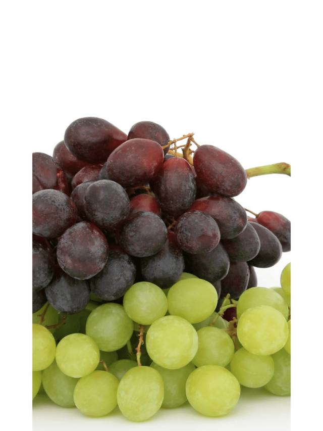 cropped-grapes.-story.png