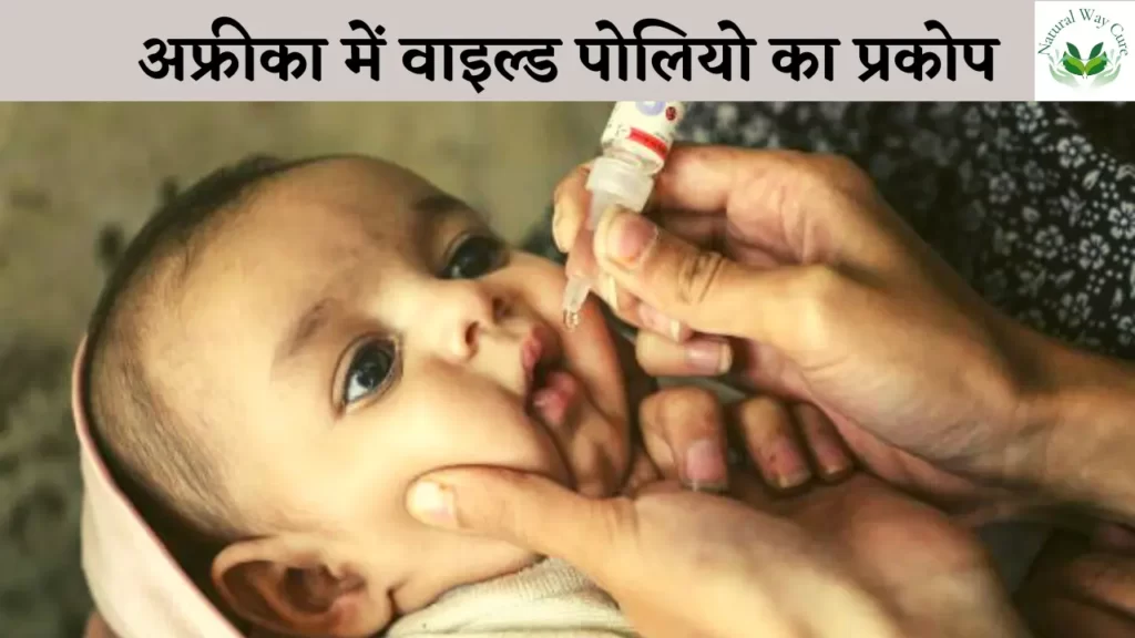 Wild polio virus alert in hindi