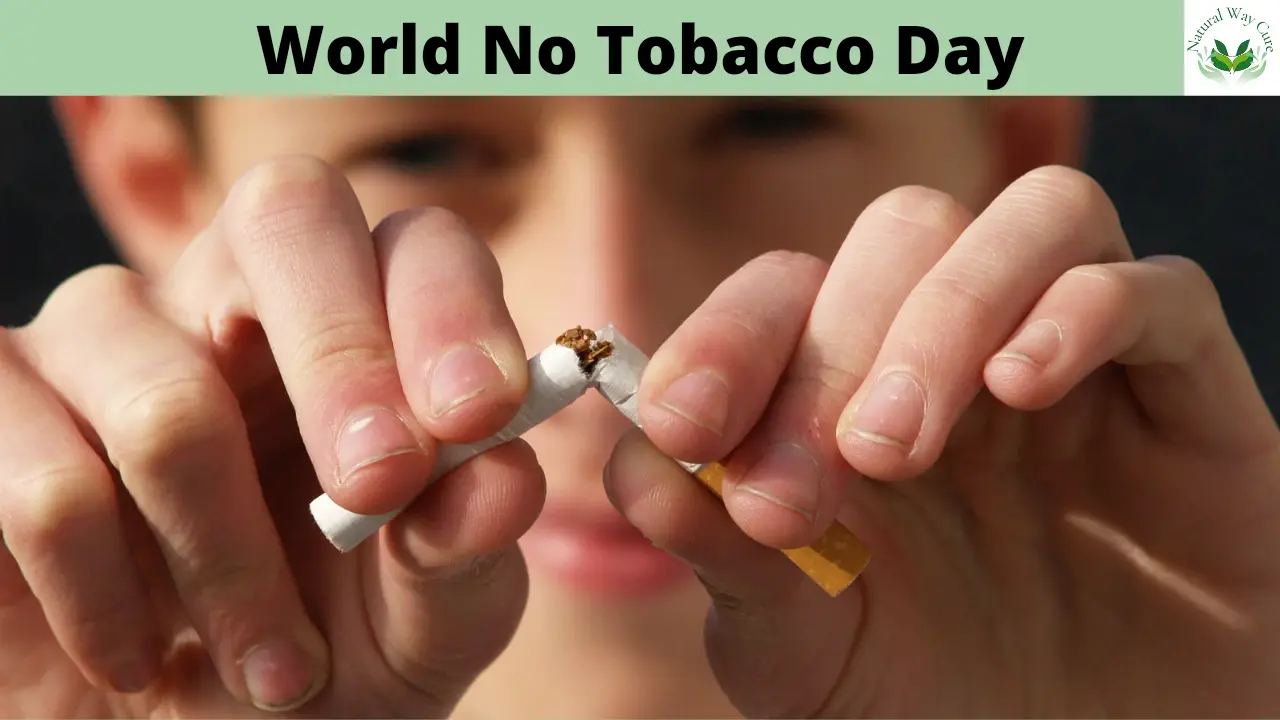 World No Tobacco Day in Hindi