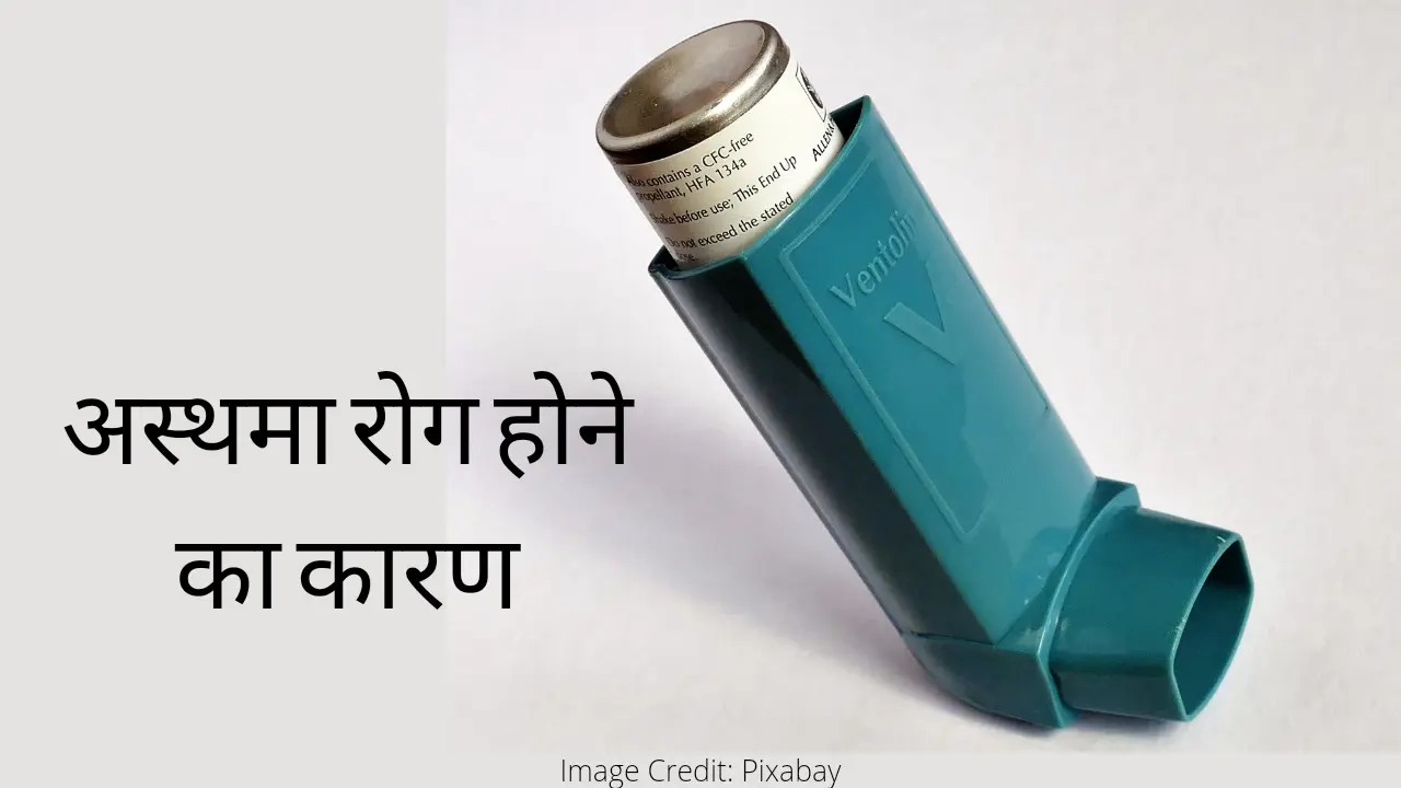 Asthma rog ka karan in hindi