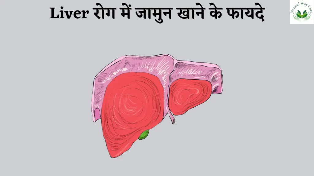 liver problem jamun
