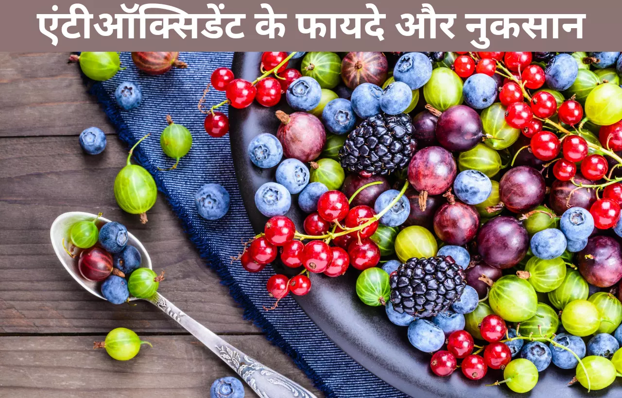 Antioxidants ke fayde aur nuksan in hindi