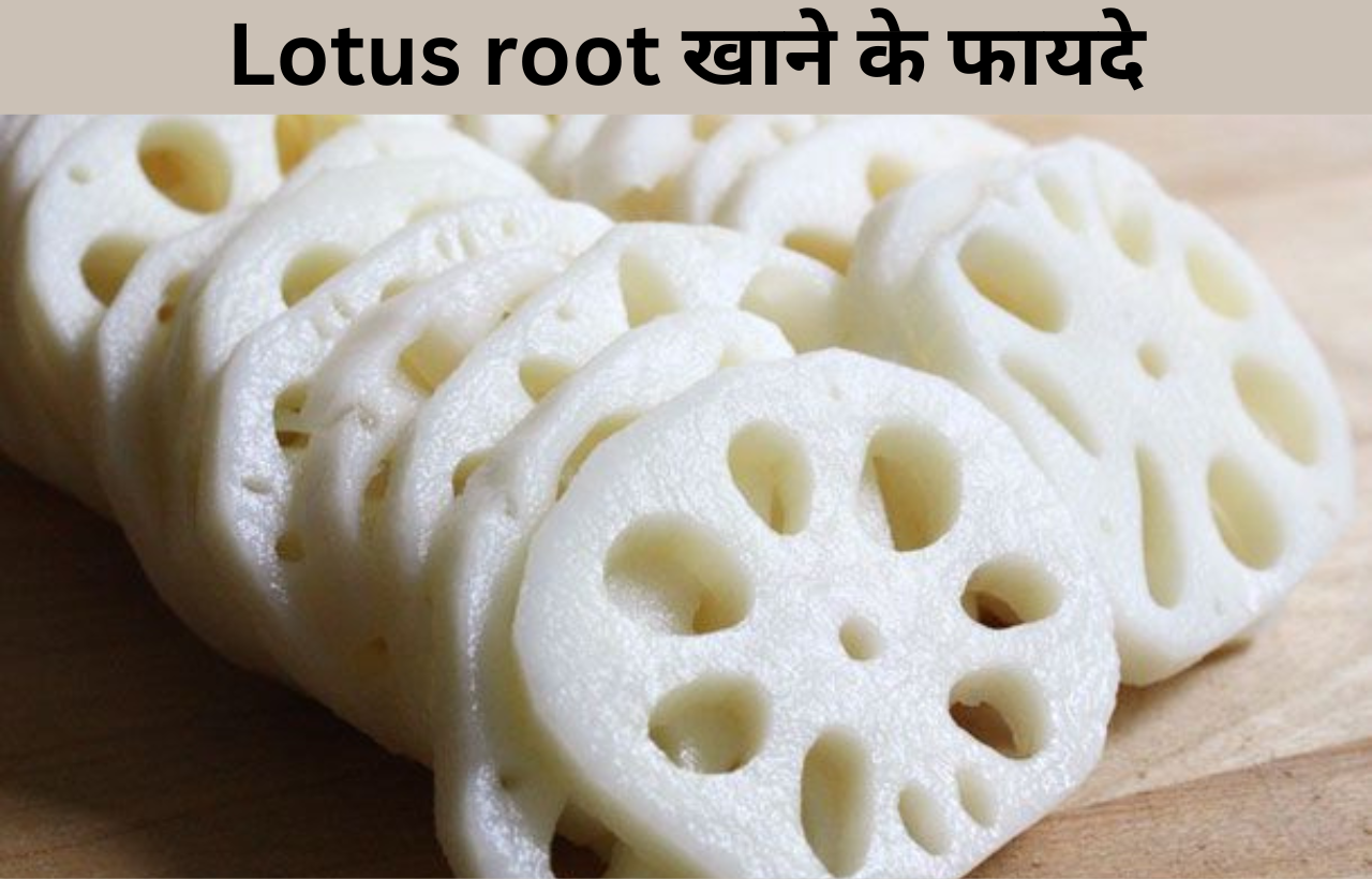 Kamal ka jad lotus root khane ke fayde in hindi