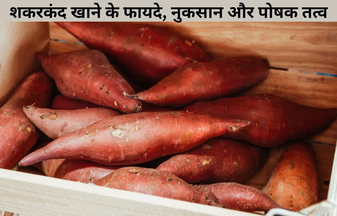 Shakarkand alua sweet potato khane ke fayde aur nuksan in hindi