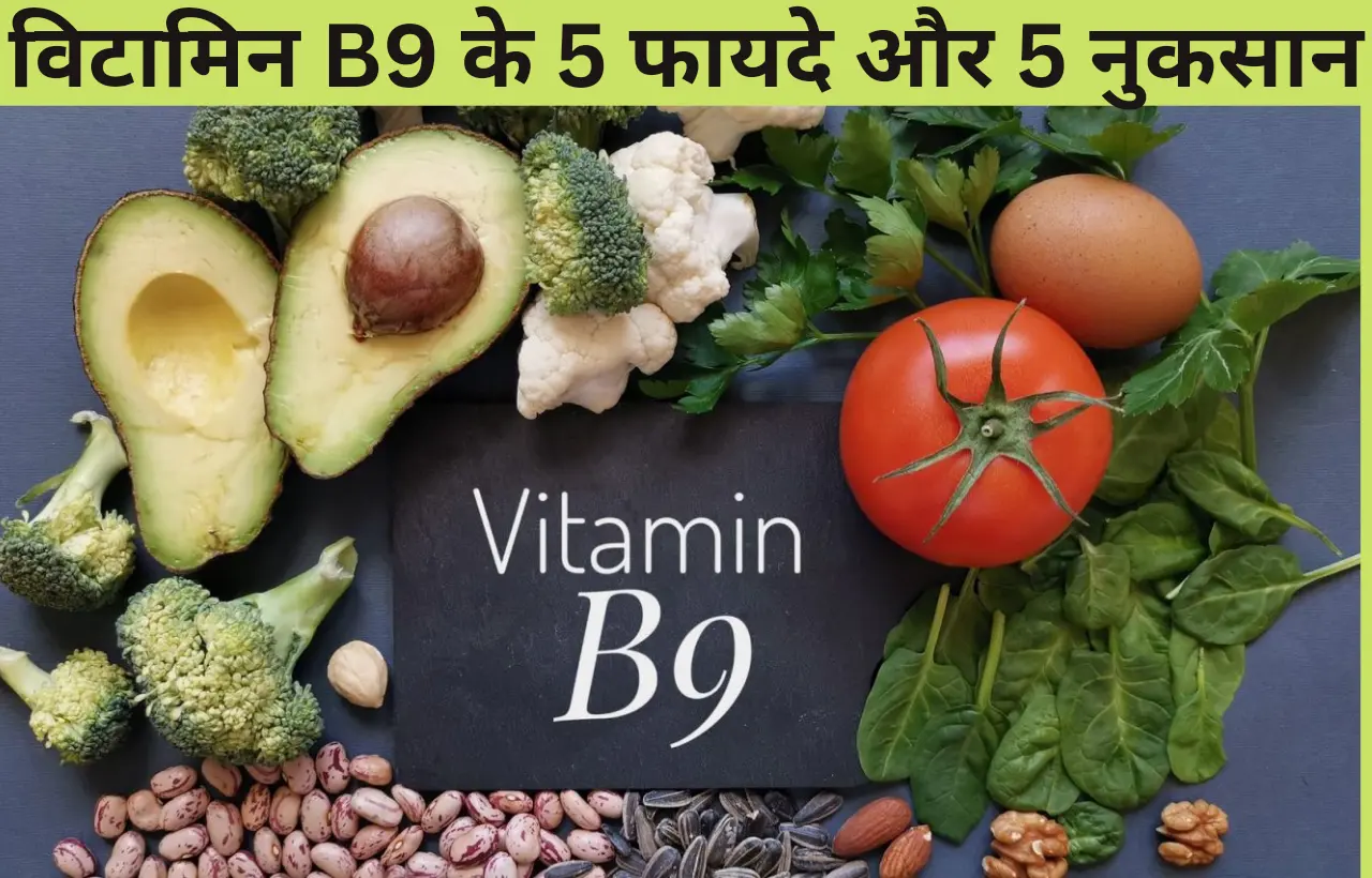 Vitamin b9 ke fayde aur nuksan in hindi