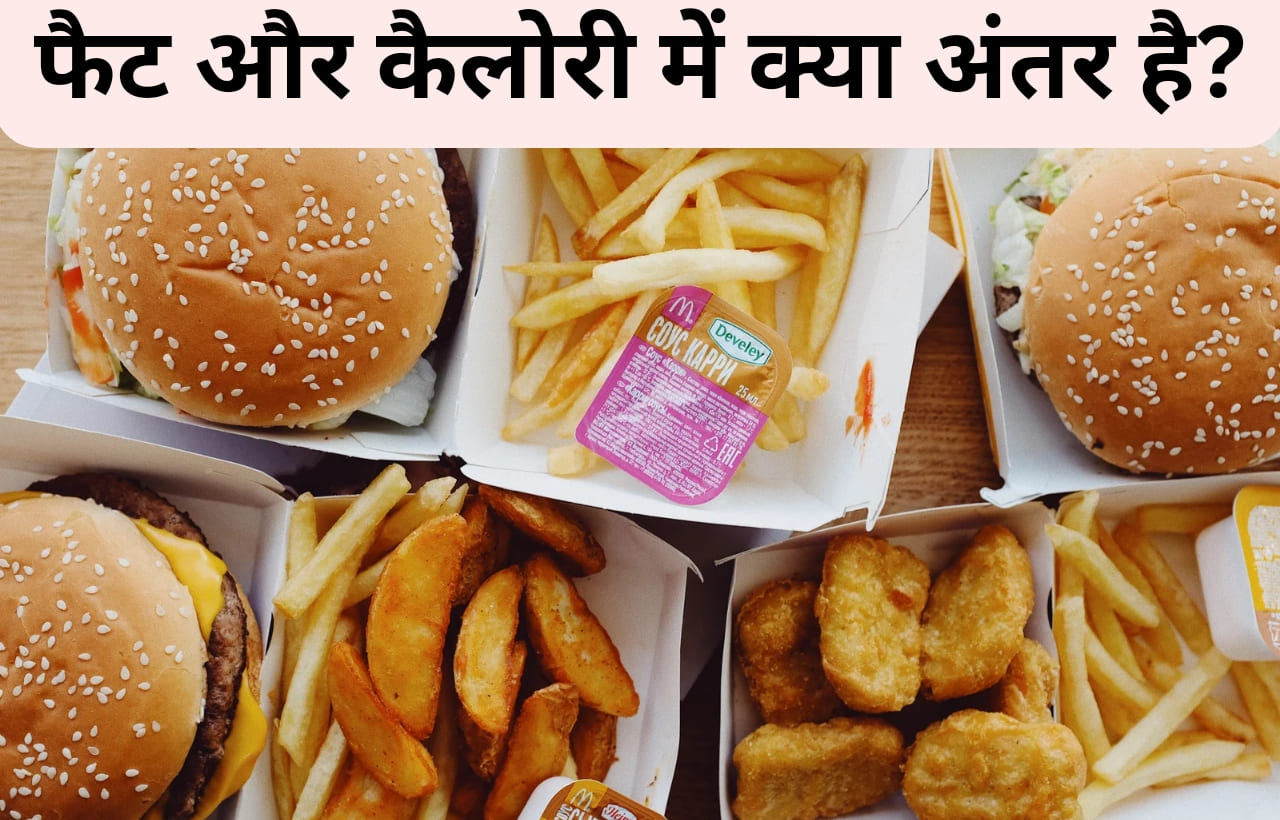 Difference between fat and calorie in hindi