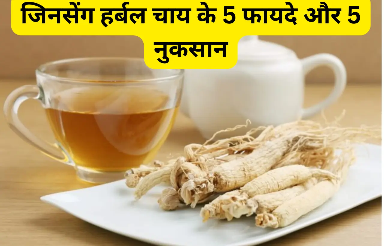 Ginseng Herbal Tea chai ke fayde aur nuksan in hindi
