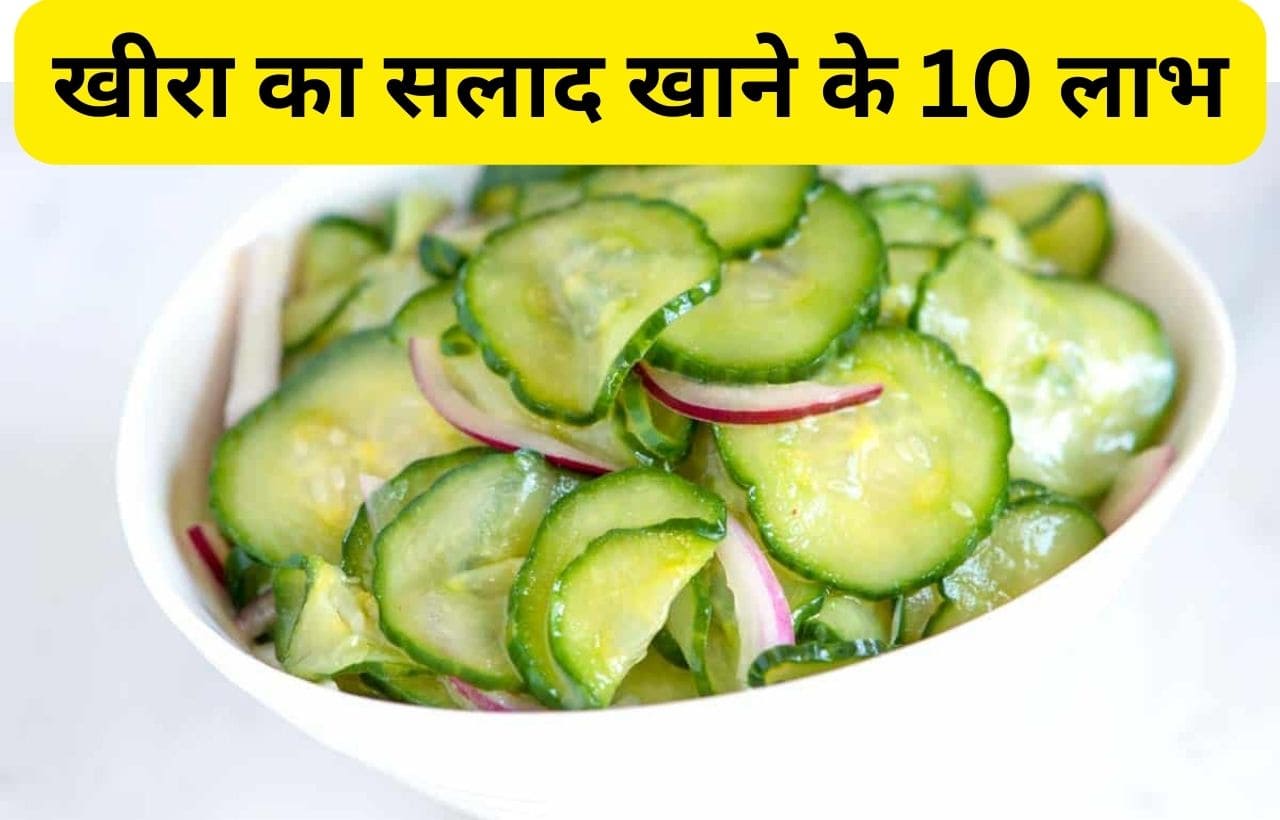 Khira ka salad khane ke fayde in hindi