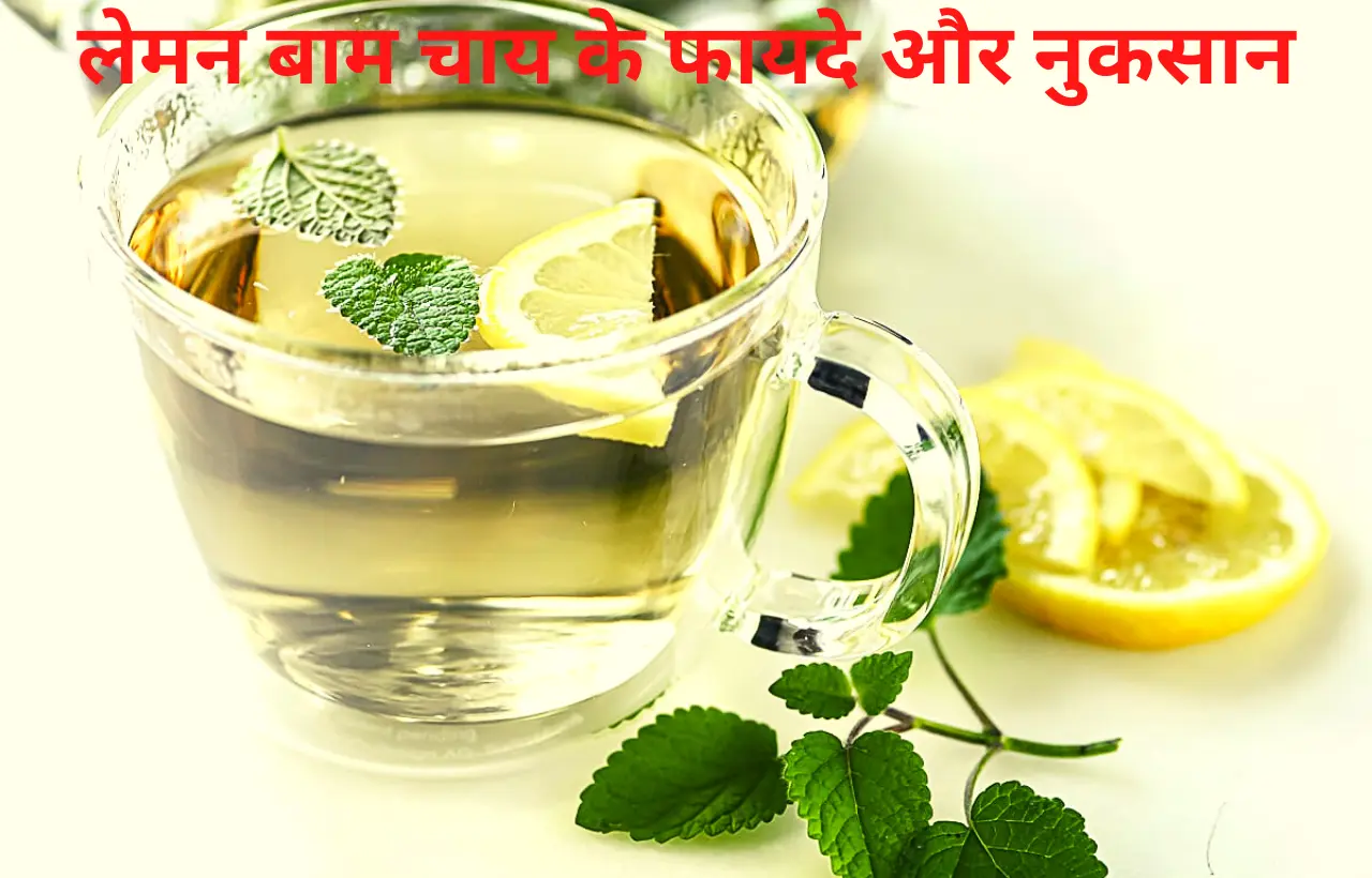 Lemon balm chai tea pine ke fayde aur nuksan in hindi