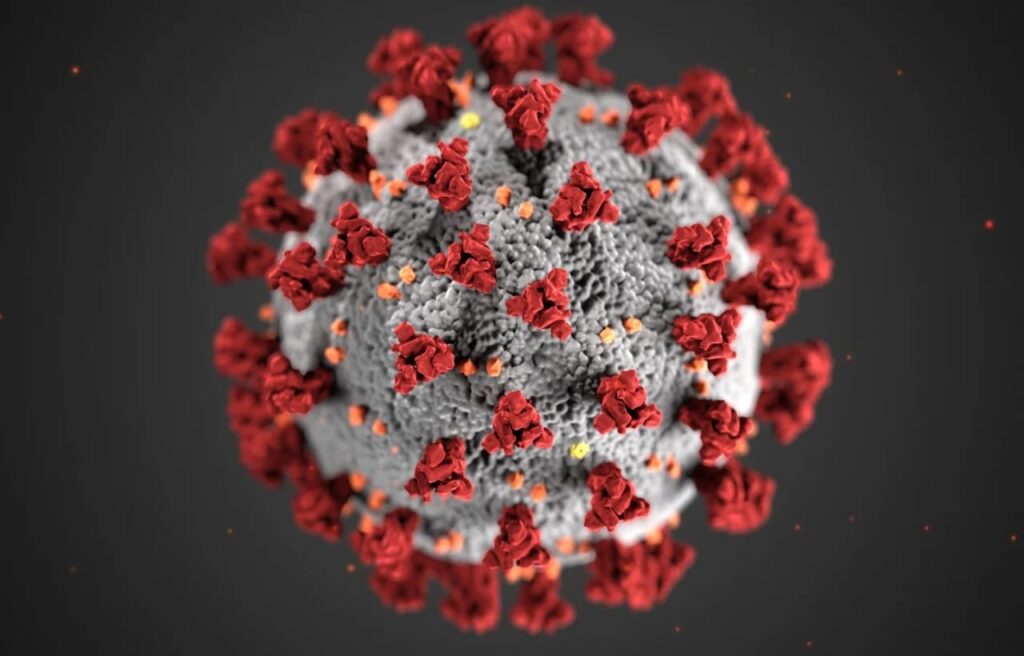 Marburg Virus in Equatorial Guinea in hindi