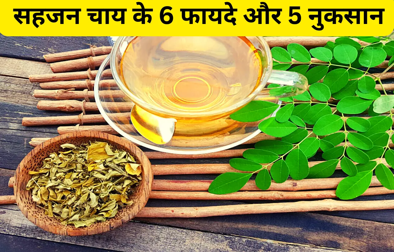 Moringa sahjan drumstick tea chay ke fayde aur nuksan in hindi