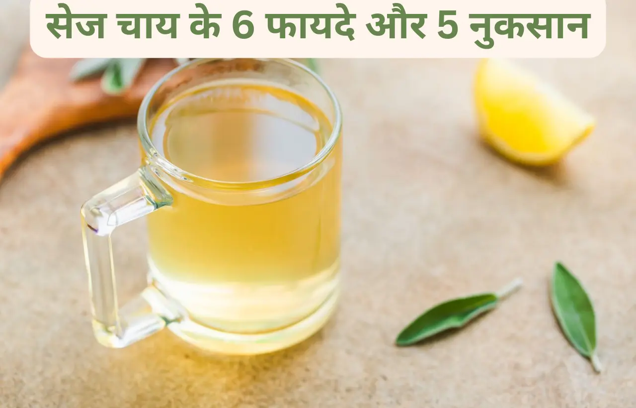 Sage ki chai tea pine ke fayde aur nuksan in hindi