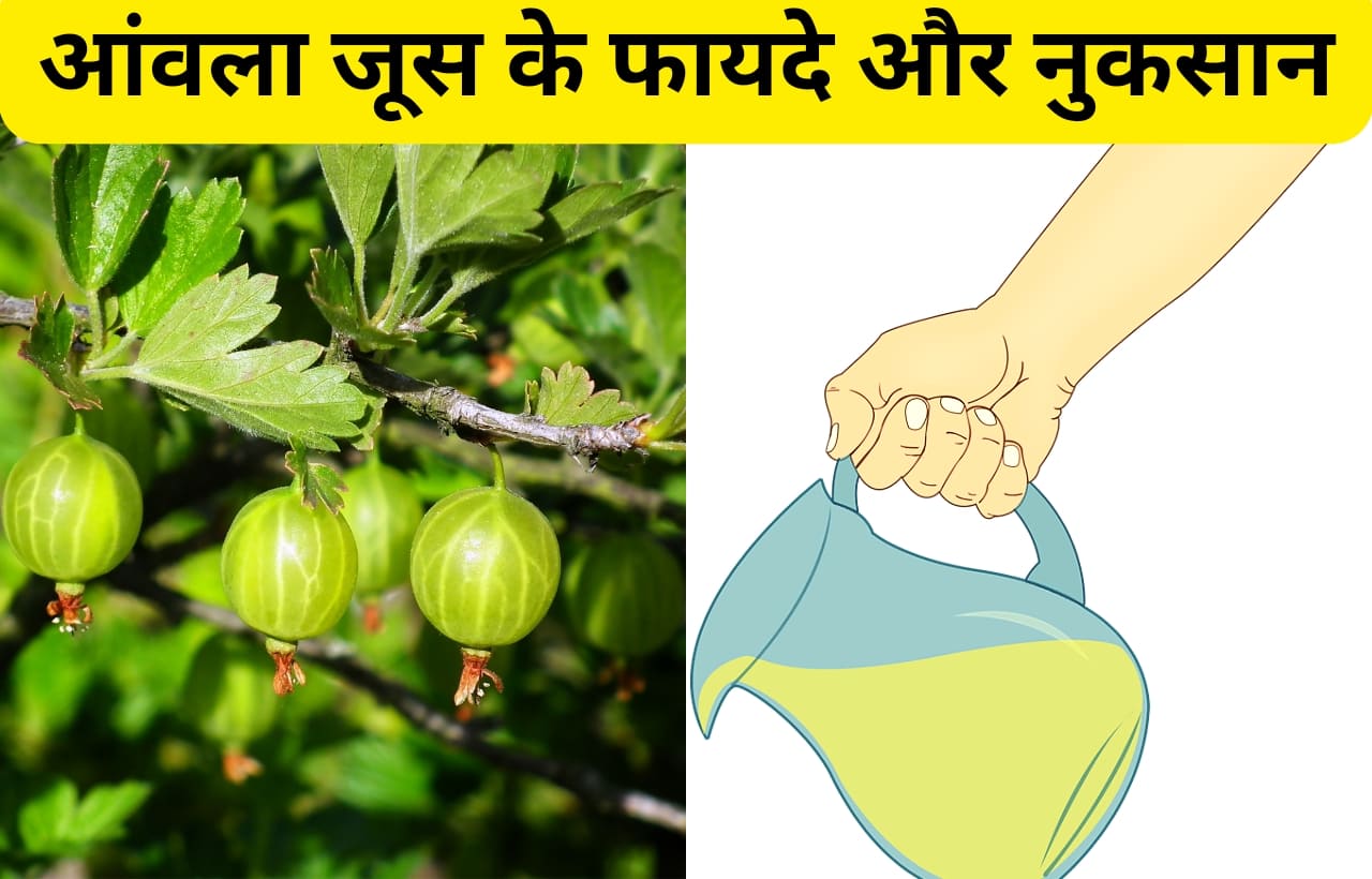 amla ka juice peene ke fayde aur nuksan in hindi