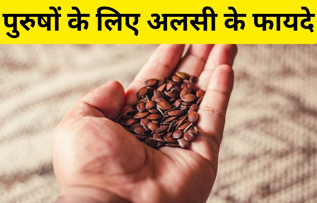 flax seed benefits for men in hindi