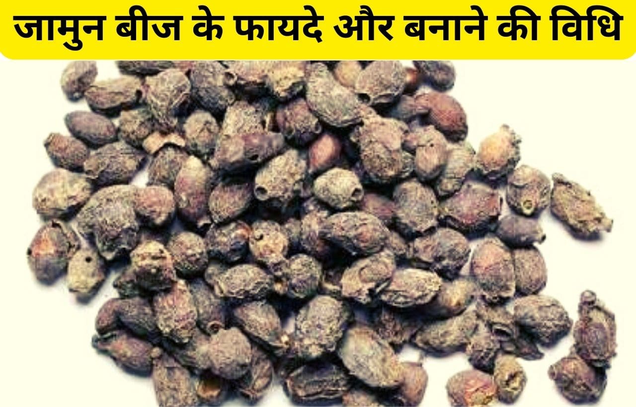 jamun beej powder benefits in hindi