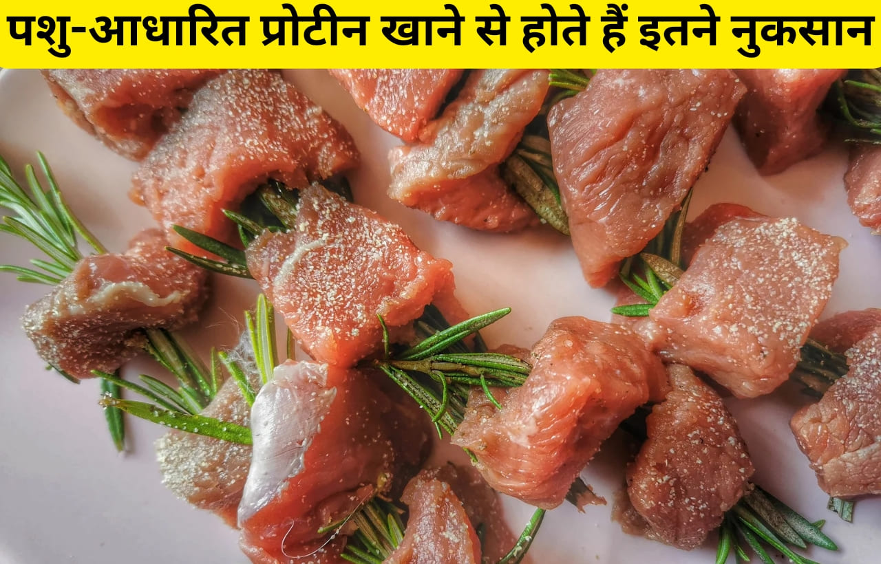 Animal (pashu) protein khane ke nuksan in hindi