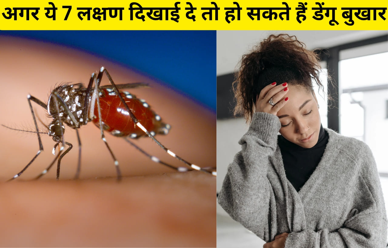 Dengue bukhar ke lakshan in hindi