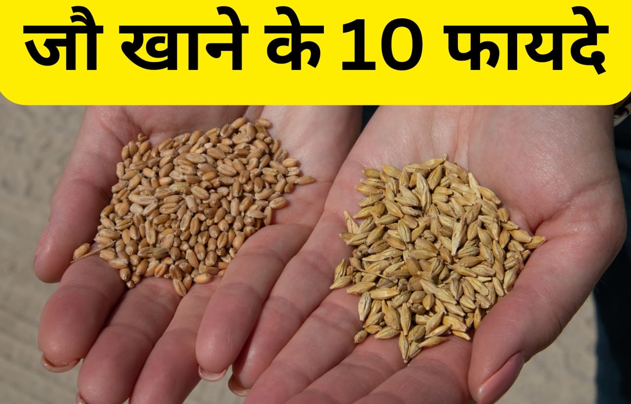 Jau barley khane ke fayde in hindi