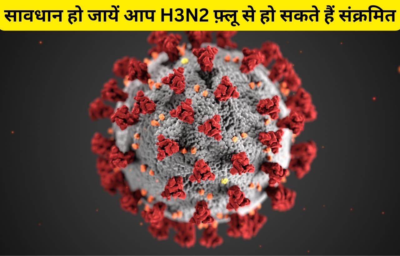 New h3n2 flu in India and how to prevent it in hindi