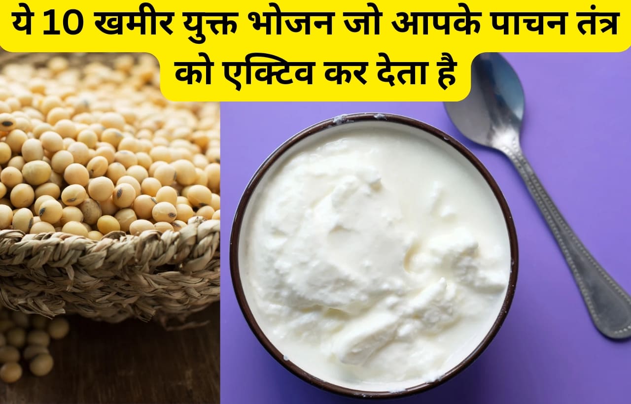 Top 10 fermented foods in hindi