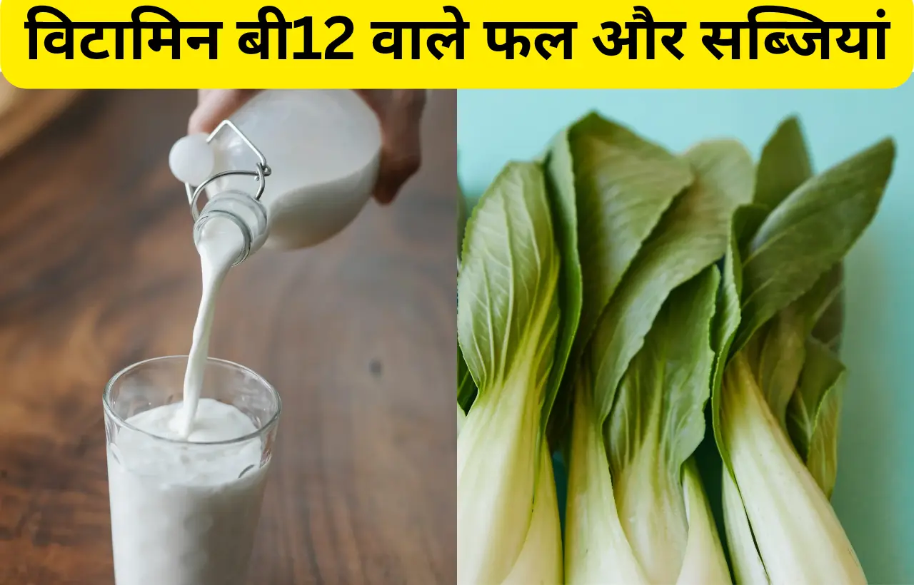 vitamin b12 wale fal aur sabjiya in hindi